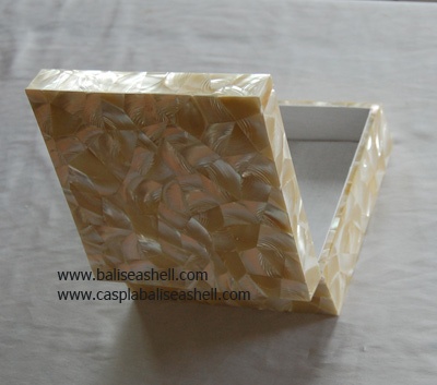 tectus pyramid shell mosaic art
