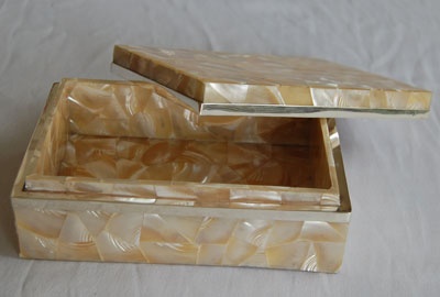 tectus pyramid shell mosaic box