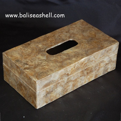capisshell tisue box art