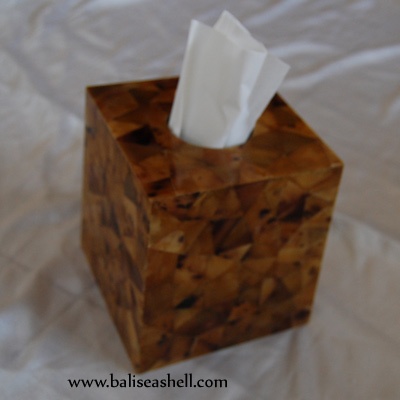 tisue box made from seashell pen