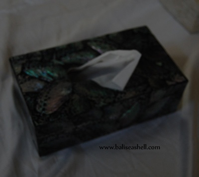abalone shell crats tisue boxpaper