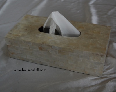 white tisue box from capis shell