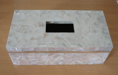 tisuebox from mother of pearl