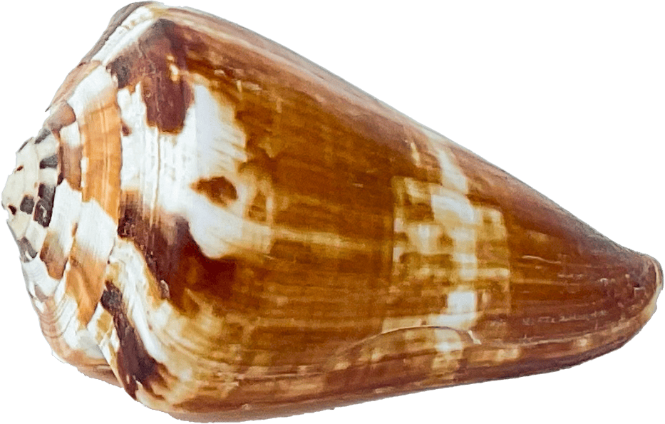 conus miles
