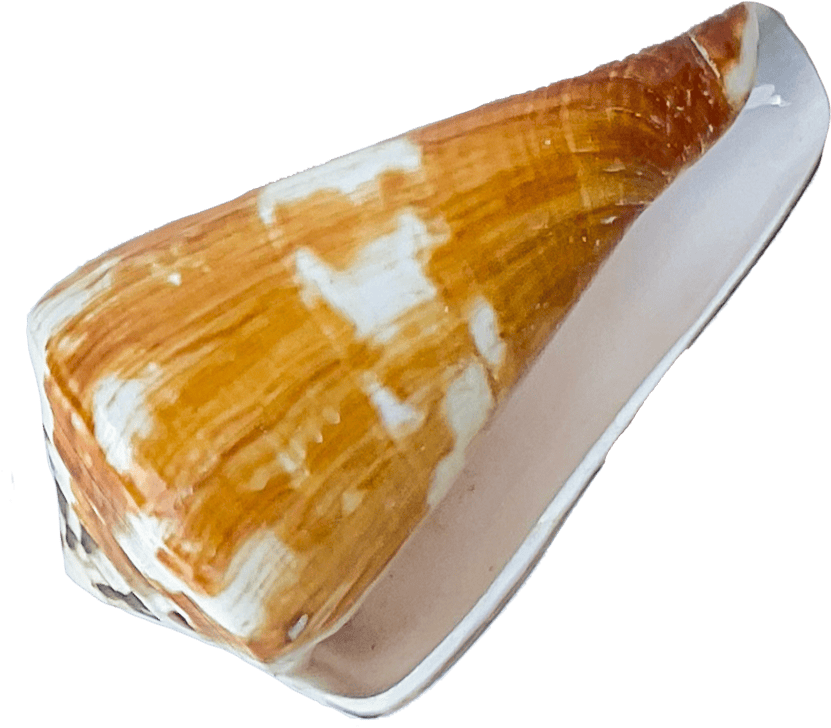 conus miles