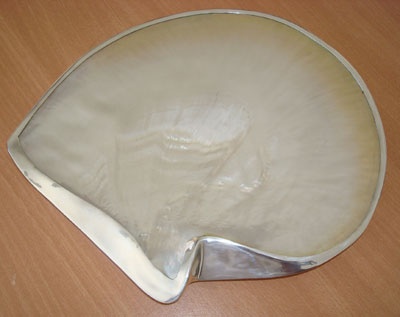 pinctada maxima inlay with silver