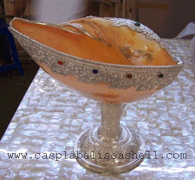Melo ampora with silver art