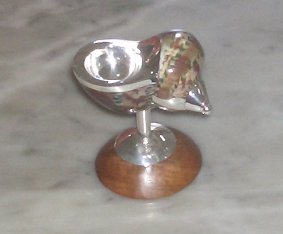Turbo petholatus with silver