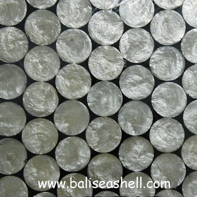 wall shell capis for tiles art