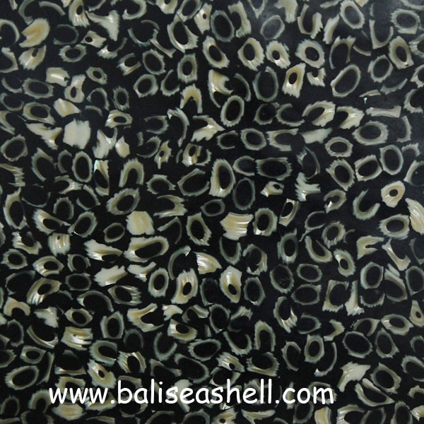tetus craesh shell tiles wall