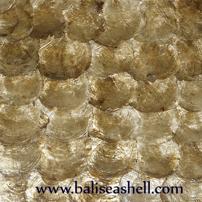 shell capis gold inlay