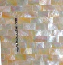 tile indonesia from seashell