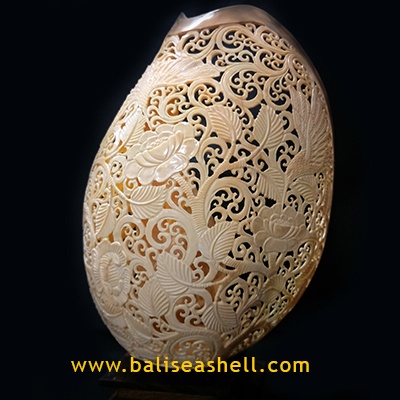 Big Melo Shell Carving Life Hummingbird Style