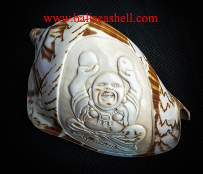 Cymbiola carving Buddha Ornament style