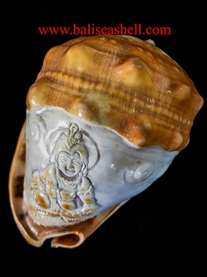 cassis rufa Little Krishna carving style