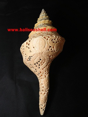 Carving Art At Melo Shell