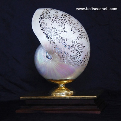 nautilus carving style art
