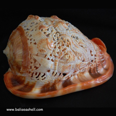 carving art at melo shell