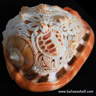 carving art at melo shell