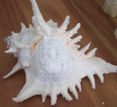 Shell carving murex