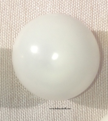 natural pearl clam from bali