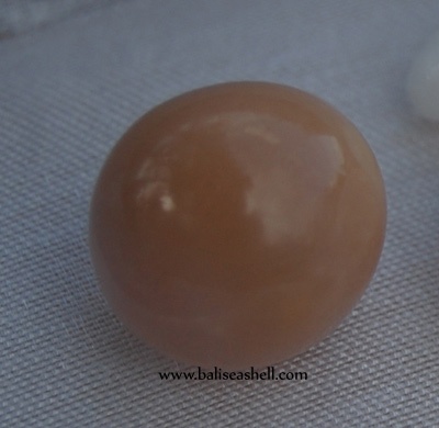 natural pearl from cassis cornuta