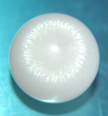 natural clam pearl best quality