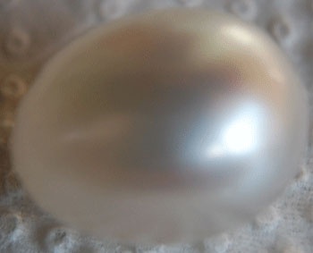 natural pearl from pinctada maxima