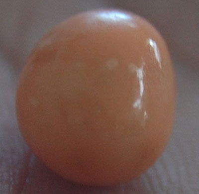 natural pearl indonesia