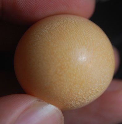 melo pearl indonesia