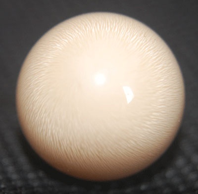 natural pearl from casis shell