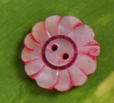 shell button art crafts
