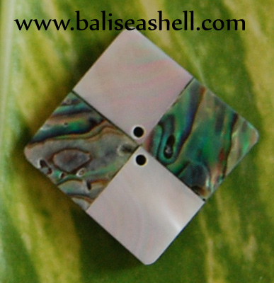 paua shell and nautilus button