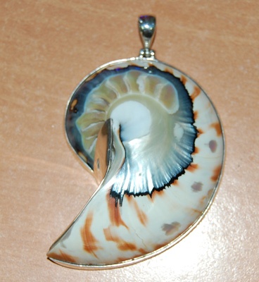 Seashell Pendants Crafts Jewelry