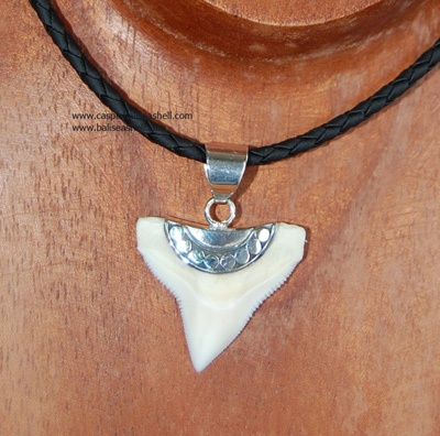 Shark Teeth Pendant With Silver