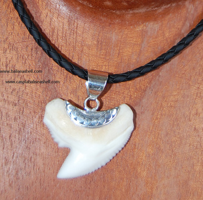 Shark Teeth Pendants With Silver