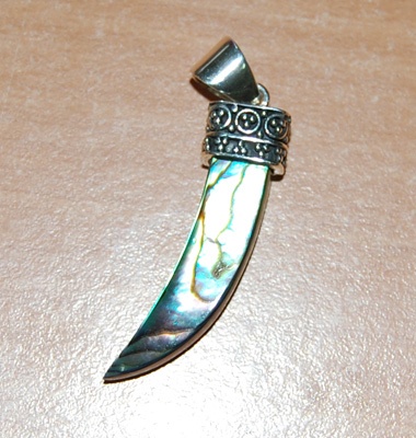 Paua Shell Cut Indonesia