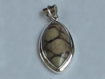 Pendant Coral Shell Silver