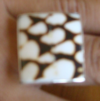 Shell Conus Ring With Silver