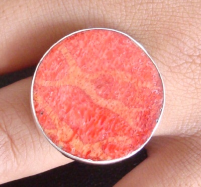 Shell Ring Art